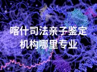 喀什司法亲子鉴定机构哪里专业