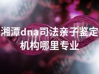 湘潭dna司法亲子鉴定机构哪里专业