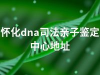 怀化dna司法亲子鉴定中心地址