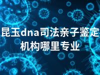 昆玉dna司法亲子鉴定机构哪里专业