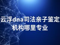 云浮dna司法亲子鉴定机构哪里专业