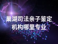 巢湖司法亲子鉴定机构哪里专业