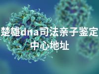 楚雄dna司法亲子鉴定中心地址