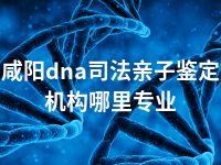 咸阳dna司法亲子鉴定机构哪里专业