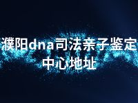 濮阳dna司法亲子鉴定中心地址