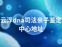 云浮dna司法亲子鉴定中心地址