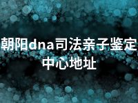 朝阳dna司法亲子鉴定中心地址