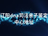 辽阳dna司法亲子鉴定中心地址