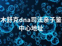 图木舒克dna司法亲子鉴定中心地址