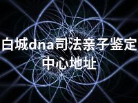 白城dna司法亲子鉴定中心地址