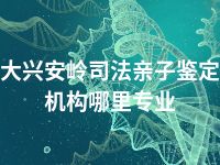 大兴安岭司法亲子鉴定机构哪里专业