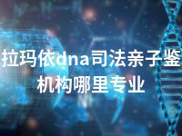 克拉玛依dna司法亲子鉴定机构哪里专业