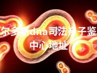 鄂尔多斯dna司法亲子鉴定中心地址