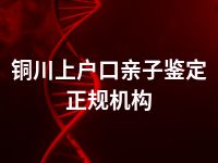 铜川上户口亲子鉴定正规机构