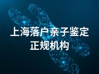 上海落户亲子鉴定正规机构