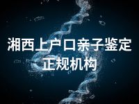 湘西上户口亲子鉴定正规机构