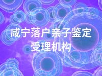 咸宁落户亲子鉴定受理机构