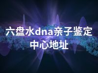 六盘水dna亲子鉴定中心地址