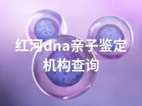 红河dna亲子鉴定机构查询