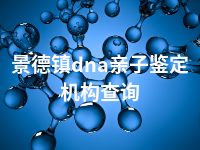 景德镇dna亲子鉴定机构查询