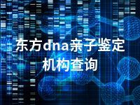 东方dna亲子鉴定机构查询