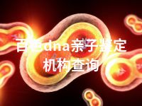 百色dna亲子鉴定机构查询