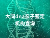 大同dna亲子鉴定机构查询