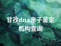 甘孜dna亲子鉴定机构查询