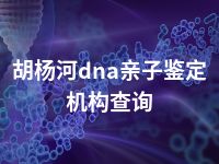 胡杨河dna亲子鉴定机构查询