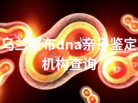 乌兰察布dna亲子鉴定机构查询