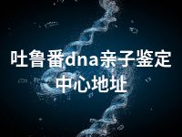 乌鲁木齐dna亲子鉴定中心地址