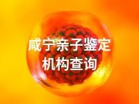 咸宁亲子鉴定机构查询