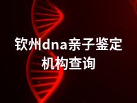 钦州dna亲子鉴定机构查询