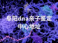 阜阳dna亲子鉴定中心地址