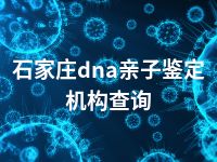 石家庄dna亲子鉴定机构查询