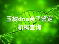 玉树dna亲子鉴定机构查询