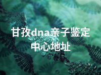 甘孜dna亲子鉴定中心地址