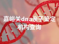 嘉峪关dna亲子鉴定机构查询