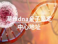 潮州dna亲子鉴定中心地址