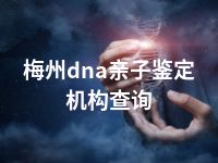 梅州dna亲子鉴定机构查询