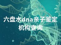 六盘水dna亲子鉴定机构查询