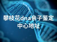 攀枝花dna亲子鉴定中心地址