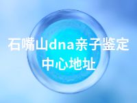 石嘴山dna亲子鉴定中心地址