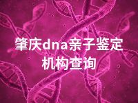 肇庆dna亲子鉴定机构查询