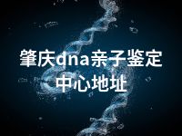 肇庆dna亲子鉴定中心地址