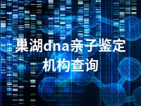 巢湖dna亲子鉴定机构查询