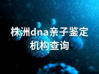 株洲dna亲子鉴定机构查询