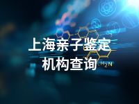 上海亲子鉴定机构查询