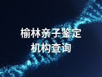 榆林亲子鉴定机构查询