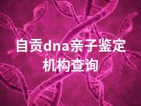 自贡dna亲子鉴定机构查询